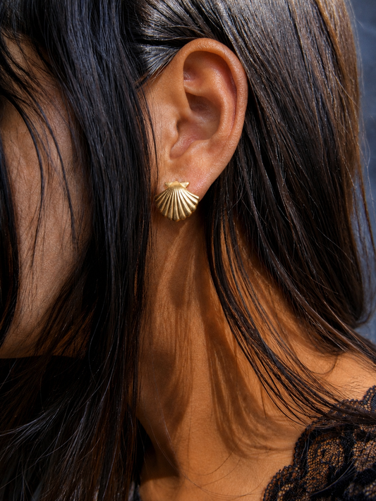 Beach Shell Trendy Gold Stud Earring