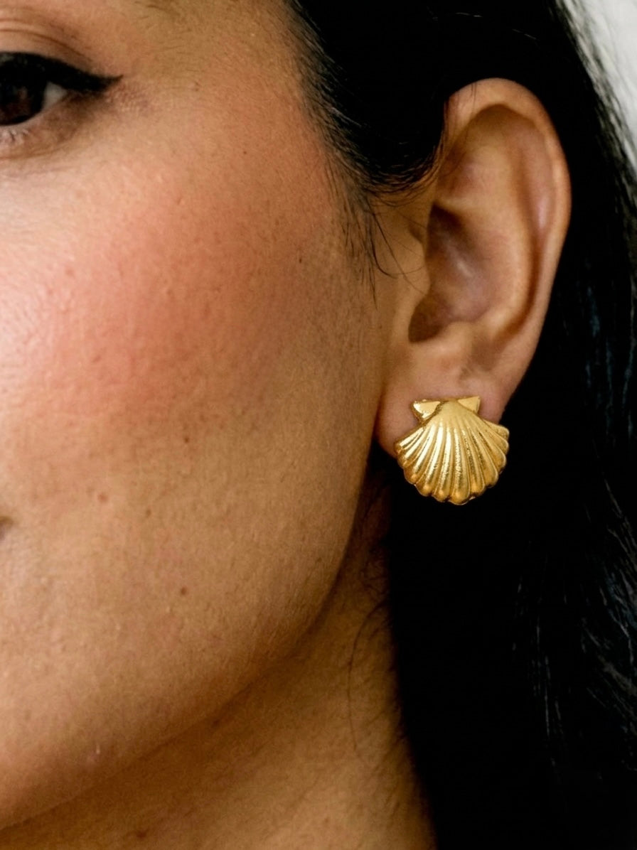 Beach Shell Trendy Gold Stud Earring